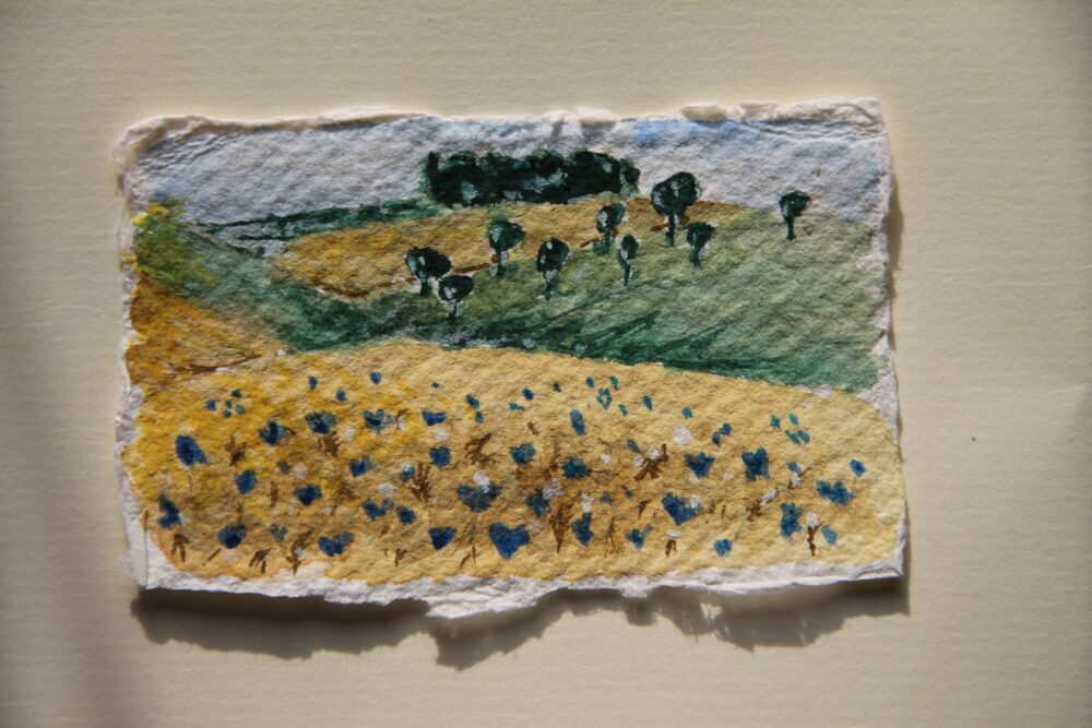 watercolor miniature painting of cornflowers in a field